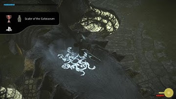 SHADOW OF THE COLOSSUS_20240815202055