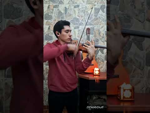 Zamba la tempranera 🎶🔥#violin #zamba #folkloreargentino