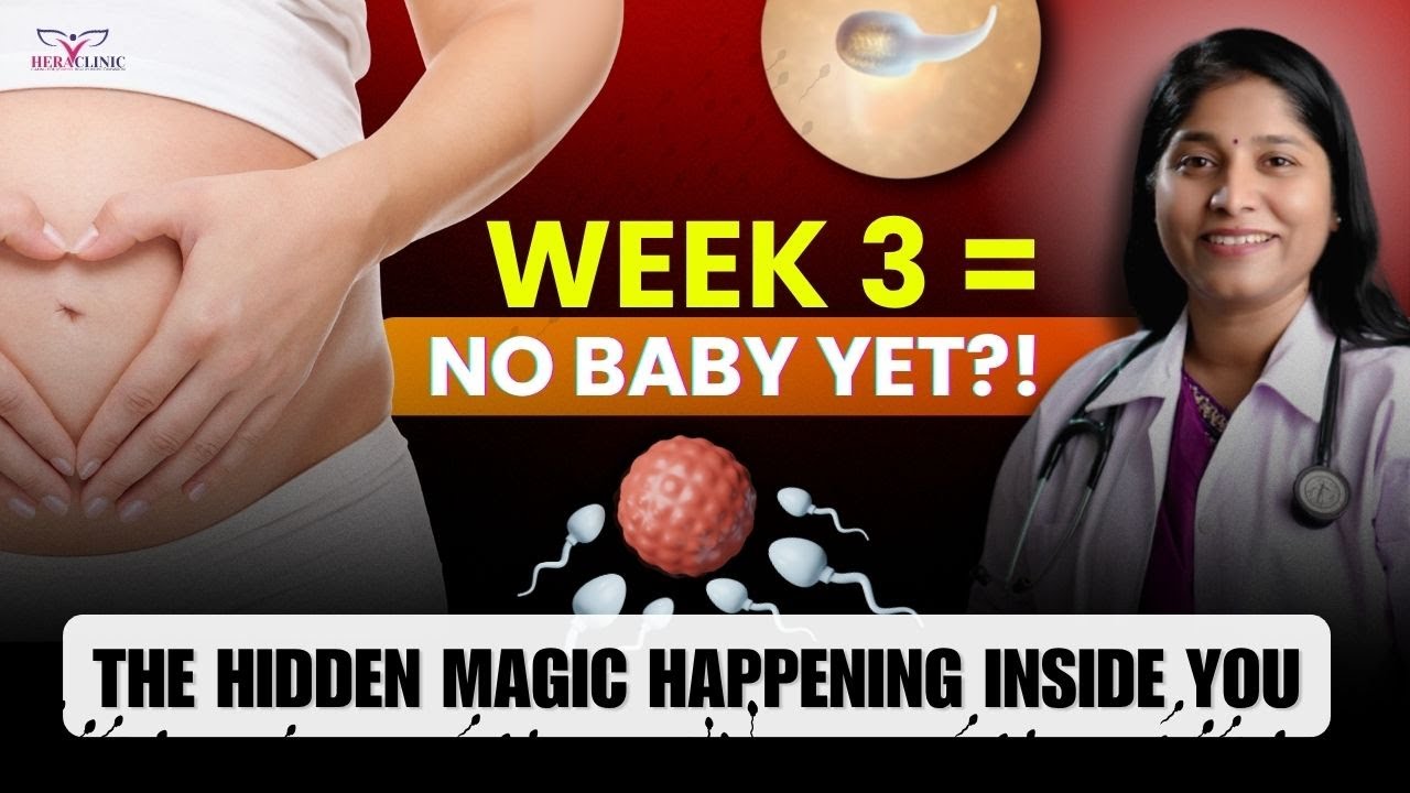 3 Weeks Pregnant: What Does The Baby Look Like? - YouTube