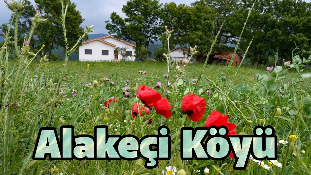 Alakeçi: doğayla baş başa, huzur dolu bir köy