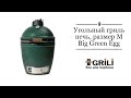 Обзор гриля Big Green Egg