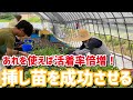 「いちご栽培 いちご農家」挿し苗を成功させるポイントご紹介 あれを使えば活着率は倍増！