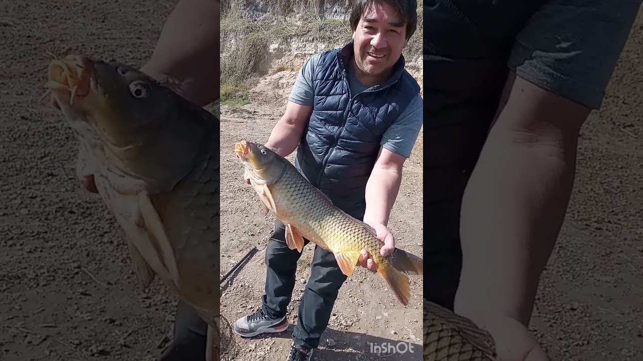 Carpones de Pique Corto!!!🤣🤣💪