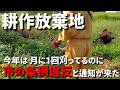 【耕作放棄地】今年は草刈り頻度上げてるんですが、市の美化条例に違反しているという指導が入りました／草刈りしなければいけないところが多すぎて、手が足りず困ってます－Vol.253（2024.09.24）