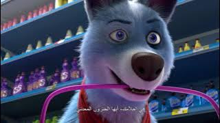 Pets United - Trailer | 2021
