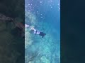 This Water in Coron Palawan Looks FAKE 🤯 Free Diving Adventure