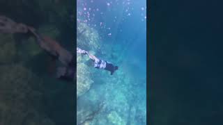 This Water in Coron Palawan Looks FAKE 🤯 Free Diving Adventure