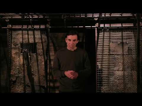 ქაოსი | მეორე ეპიზოდი