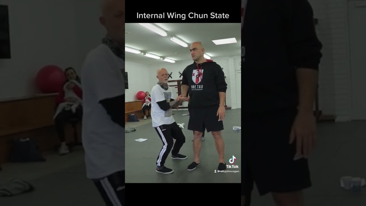 Internal Wing Chun - Strength, Structure, State Exercise