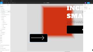 Our Unique Website For A Dog Breeder