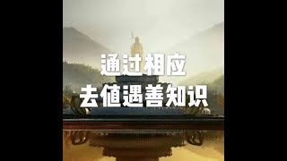 201703 通过相应去值遇善知识22365