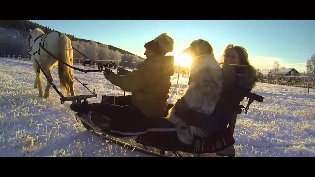 Sun Dance Ranch Winterholiday at the Sun Dance Ranch in Sweden - YouTube