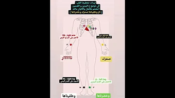 أفضل وأسهل طريقة لحفظ عمل تخطيط القلب ECG تخطيط القلب Ecg معلومات طبية تمريض مالك هزينات 