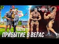 Мр.Олимпия викэнд!!! Прибытие в Вегас. Вписка. Первая тренировка.