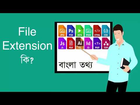 File Extensions কি || ফাইল ও ফোল্ডারের মধ্যে পার্থক্য বাংলা