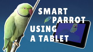How This Parrot Uses A Computer?! Super Intelligent Talking Parrot! screenshot 2