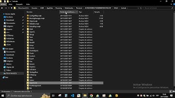 Instalación de los repositorios ScalerByLeo y CLByLeo atravez del producto CLScalerLibrarie