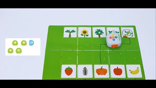 01 Exploration Maps Science- Plants and their fruits Activity with MatataStudio Coding Set Tale-Bot