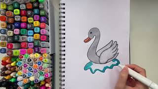Swan Drawing and Colouring Easy for Kids