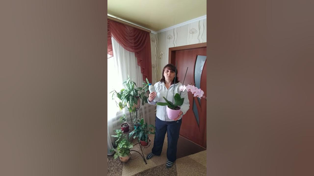 Ярос - YouTube