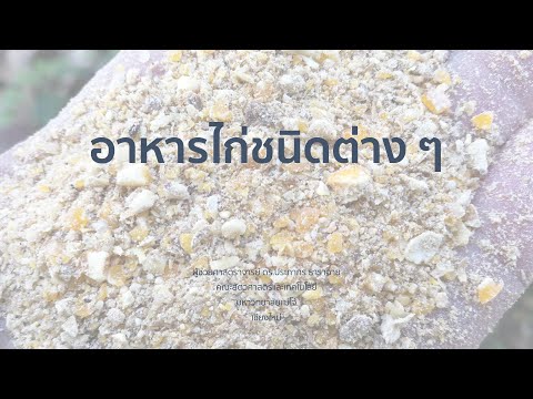 วีดีโอ: สิ่งที่ทำให้ผมเติบโตขึ้นในปากของสุนัข?