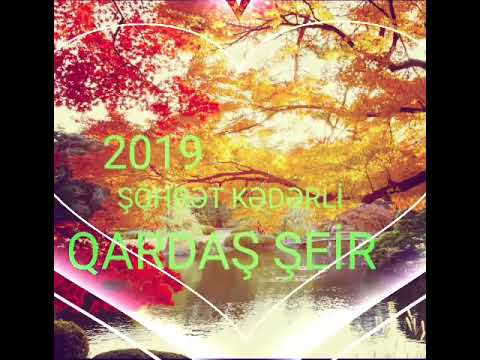 ŞÖHRƏT QARDAŞ ŞEİRİ 2019