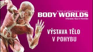 BODY WORLDS: 10.10.2025, Praha Westfield Chodov. Světoznámá výstava přichází po letech do Prahy