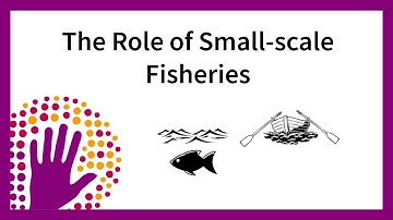The Role of Small-scale Fisheries