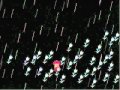 Yume Nikki remix - Rain and Flowers