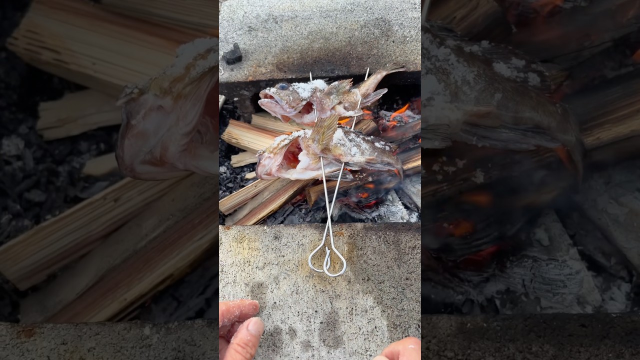 穴釣りで釣ったカサゴの塩焼きが美味すぎた