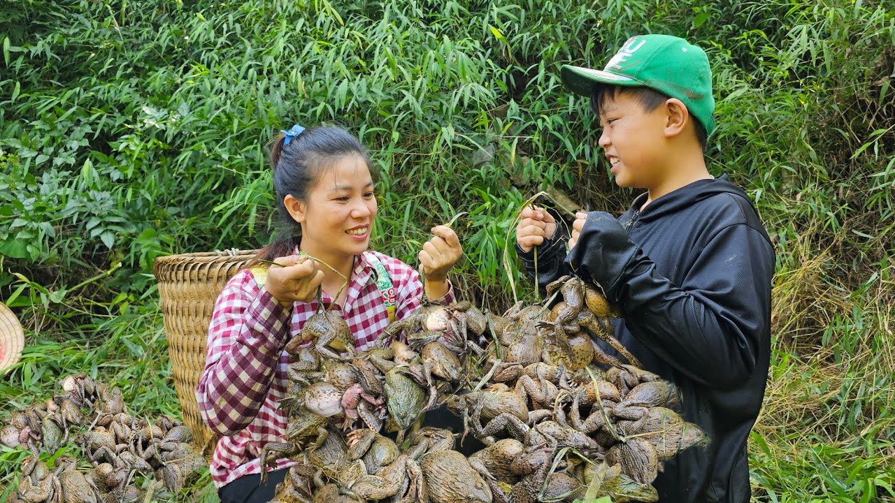 जंगली भ्यागुता समात्दै, सुश्री फुओङ र उनको छोरा भाग्यमानी थिए कि उनीहरूले गुँड भेट्टाए।