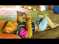 Smart SokYaa Steal Papa's Phone & Watching YouTube Happily At Home