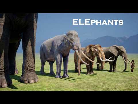 Elephant Size Comparison: Prehistoric, Living and Mystical | The Largest Elephant in the World