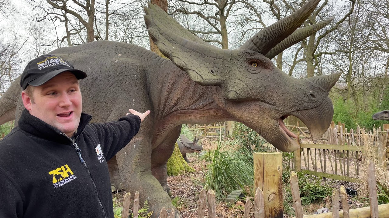 🔴LIVE at the ZOO: World of Dinosaurs!