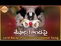 Seshadri konda pai telugu devotional song   lord balaji popular songs  devotional tv