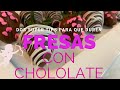 Fresas con chocolate/más mi secreto para que te duren frescas por días