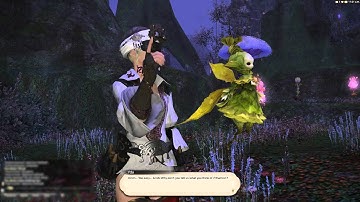 A Realm Reborn Patch 2.3 FFXIV Story: 10 - True To Form