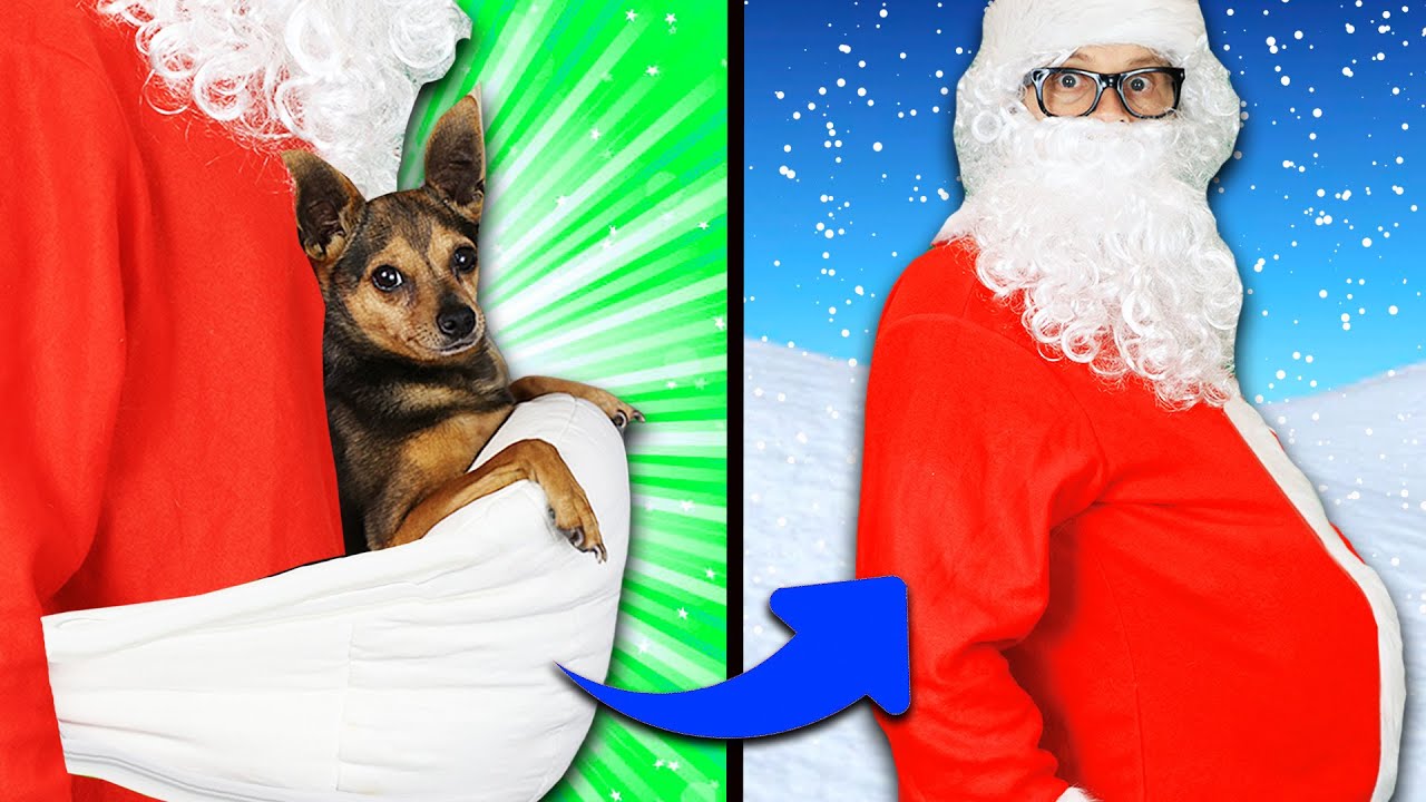 5 Ways to Sneak Dog into Christmas! PawZam Dogs YouTube