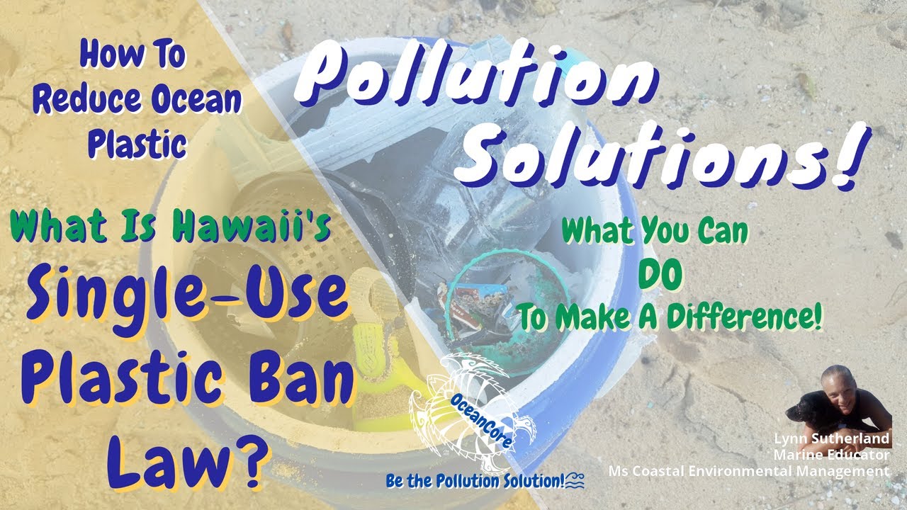 How To Reduce Ocean Plastic What Is Hawaii’s SingleUse Plastic Ban Law? YouTube