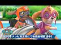 パウ・パトロール | シーズン1のベストレスキューを1時間！パウ・パトロール 🐾 | テレビ東京系にて放送中