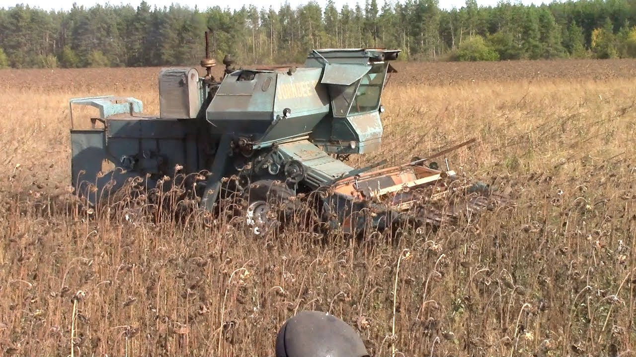 Нива уборка видео