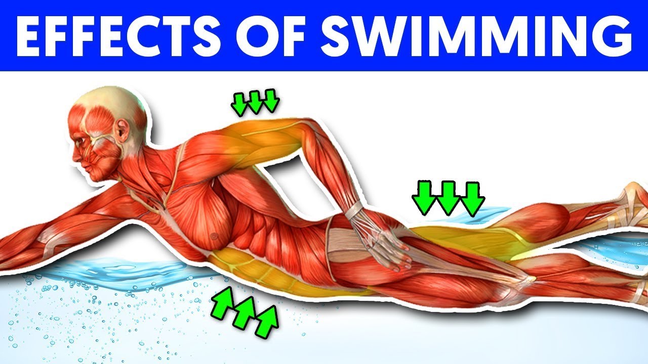 what changes happens to your body when you do swimming everyday for 3