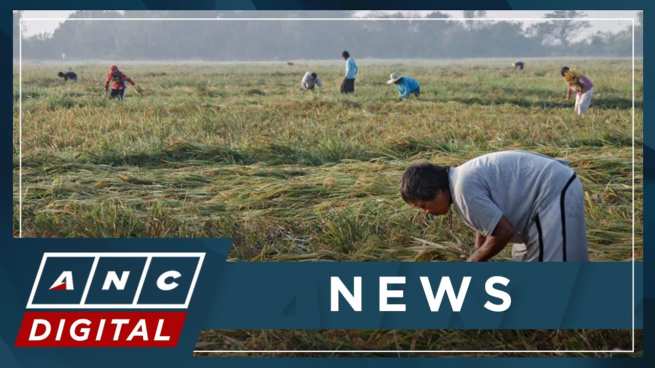 Бывший руководитель аграрной реформы в правительстве Филиппин призывает к более жестким ограничен...