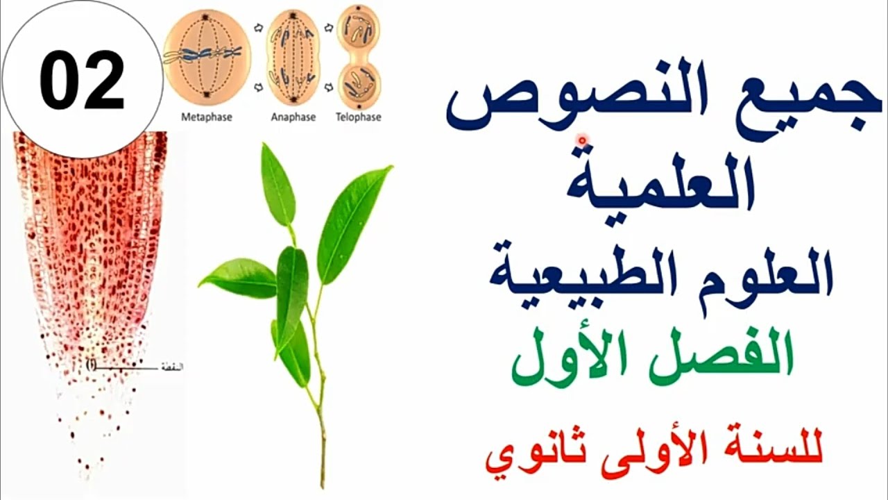 نصوص علمية للسنة الاولى ثانوي