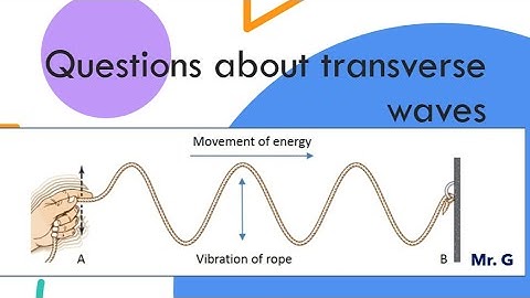 Questions about transverse waves (Grade 10)