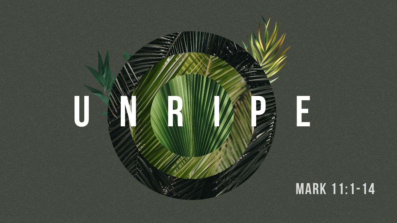 UNRIPE | Mark 11:1-14