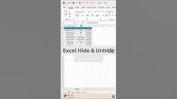 Excel Hide & Unhide Shortcuts | How to Hide & Unhide Columns in Excel | Excel Shortcuts