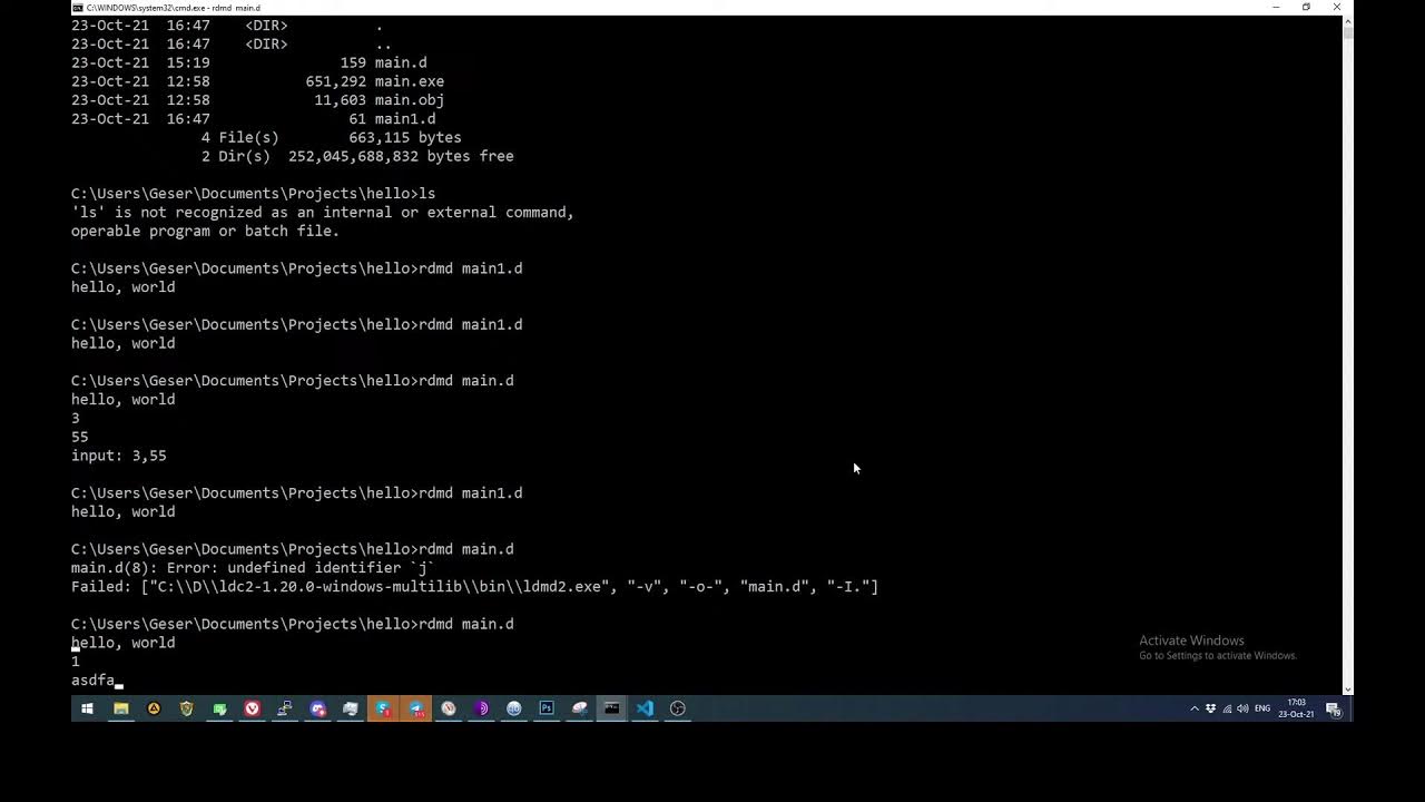 D programming language. D programming language