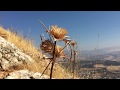 A HIKE UP MT. ARBEL - Biblical Israel Ministries & Tours