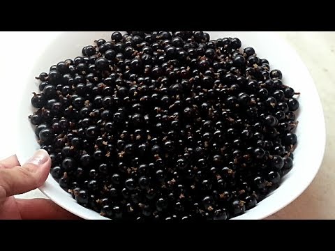 Видео рецепт Черная смородина протертая с сахаром